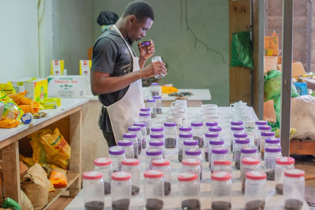 Kenyan Tea Services